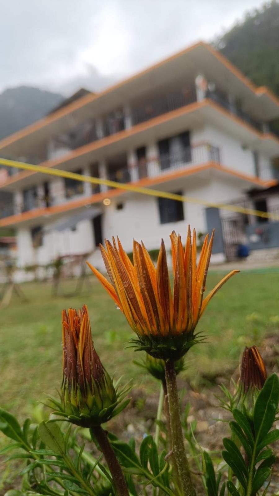 Himtrek Stay Kasol Exterior photo