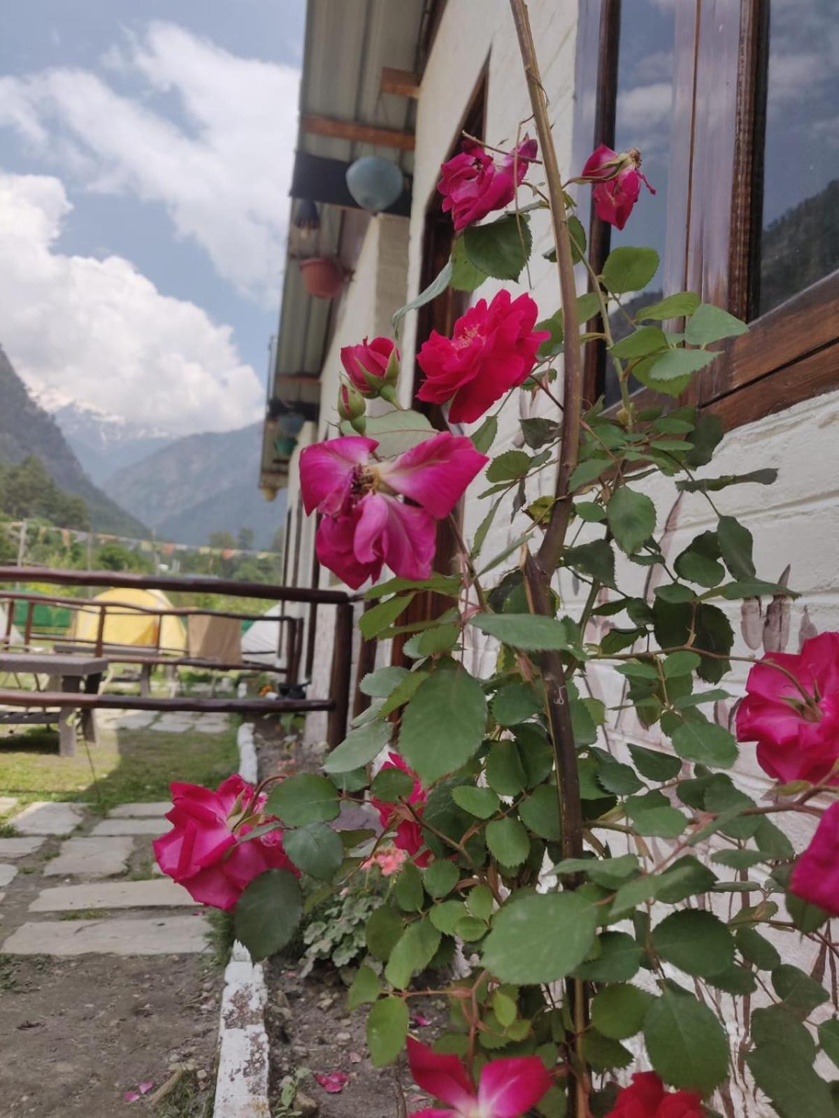 Himtrek Stay Kasol Exterior photo