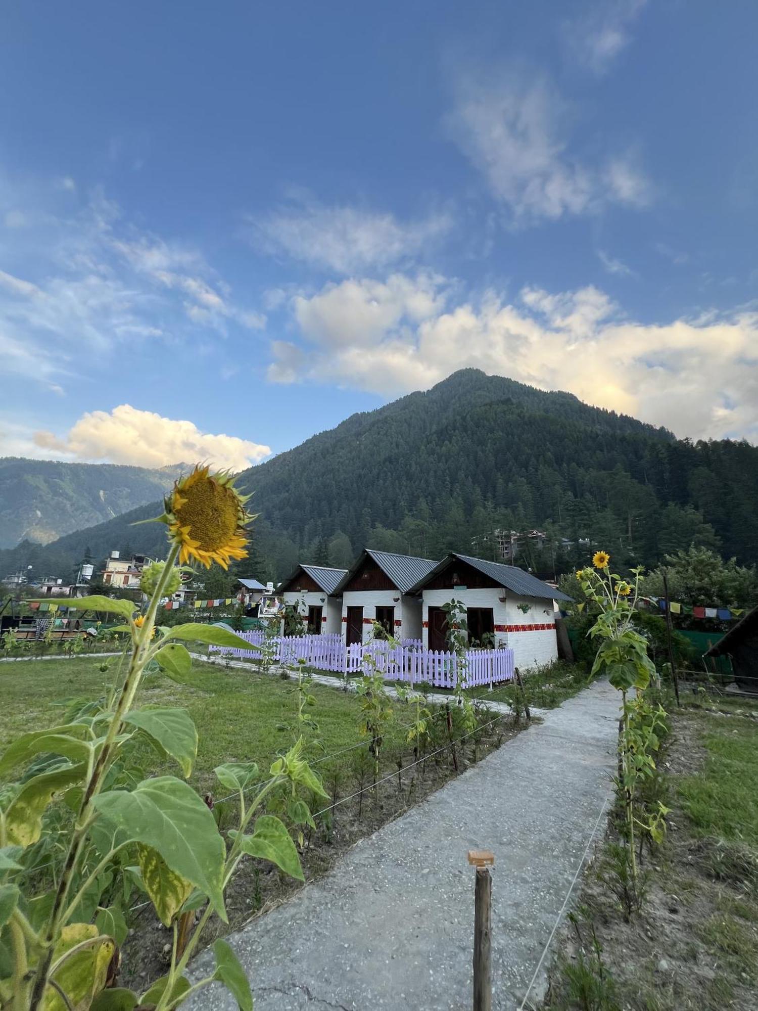 Himtrek Stay Kasol Exterior photo